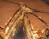 Tiramisu palacsinta torta 🥰 recept fázis 6 fotója