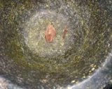 A picture of step 1 of LalKadam.