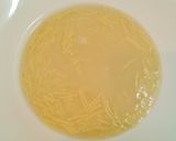 A picture of step 4 of Chicken Noodle Soup with Egg Yolk.