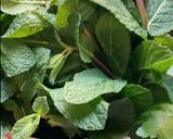 Une image de l'étape 1 de 🌿GUACAMOLE 🥑 SAVEURS DE PROVENCE 🌶️🌿🐝.