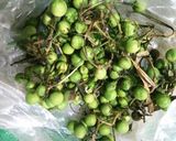 Foto langkah ke 1 dari resep Tumis Takokak, Pete pedes tauco.