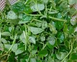 Hình bước làm 1 của món Rau càng cua trộn cá hộp