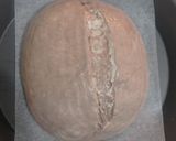 Foto langkah ke 15 dari resep Choco Swirl Sourdough Bread (Open Bake Method).
