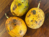 Markisa Squash
