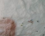 Foto del paso 3 de la receta: Panes saborizados