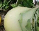Une image de l'étape 8 de Citronnade menthe fraîche citron 🍋.
