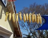 Foto del paso 5 de la receta: Huachales