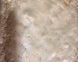 Foto del paso 12 de la receta: Empanada de atún, pimiento y huevos