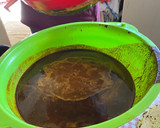 Foto del paso 6 de la receta: Mole chichilo
