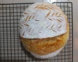 Foto langkah ke 7 dari resep One Day Sourdough Loaf with Cold Starter.