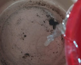 Foto del paso 5 de la receta: Tiramisú