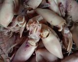 Foto langkah ke 1 dari resep Sambal Mercon Cumi Asin.