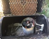 A picture of step 4 of California Farm Traditional Neapolitan Pizza.