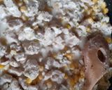 Tejszínes kukoricás pulykahusi recept fázis 2 fotója