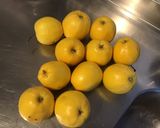 Une image de l'étape 1 de Confit de pommes au brandy, vanille et cannelle.