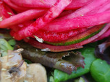 Nido de calabacín rojo