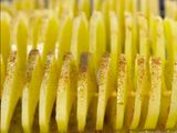 البطاطس الحمرا بالطريقه السورية