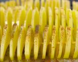 صورة لخطوة 3 من وصفة البطاطس الحمرا بالطريقه السورية