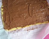 Foto del paso 4 de la receta: Brazo gitano de crema de cacao
