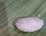 Foto langkah ke 5 dari resep Lemper isi Ayam.