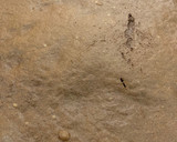 صورة لخطوة 1 من وصفة كيكة الجالكسي المغطاة