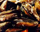 Foto del paso 5 de la receta: Mejillones con salsa de tomate al vino blanco y cayena