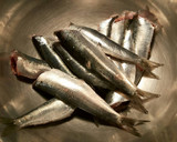 Foto del paso 5 de la receta: Sardinas marinadas al horno, con fondo de tomates, cebollas, y patatas asadas