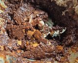 Une image de l'étape 3 de Entremets trois chocolats croustillant praliné.