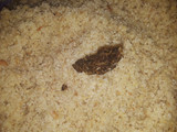Dambun shinkafa
