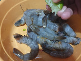 Sup Udang