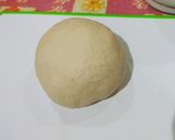 Foto langkah ke 1 dari resep Kulit martabak.