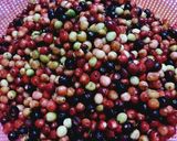 Foto langkah ke 1 dari resep Rujak Bebeuk Buni.