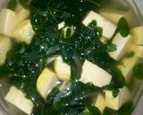 Foto langkah ke 4 dari resep Bening daun kelor.