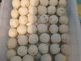 Cilok gemoy(baso aci)