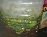 Foto del paso 4 de la receta Mojitos