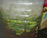 Foto del paso 4 de la receta: Mojitos