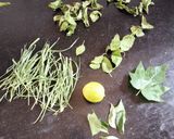 A picture of step 1 of Wheatgrass juice.