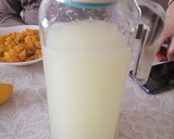 Foto del paso 1 de la receta: Limonada light (Thermomix)