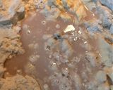 Foto del paso 2 de la receta: Clásicos Argentinos: Panes caseros saborizados