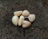 Foto langkah ke 1 dari resep Rempeyek Kacang Tanah.