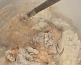 酸種起種（分享）的食譜步驟3照片