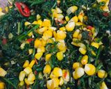 Foto langkah ke 5 dari resep Tumis Pakis & Jagung.