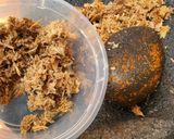 Foto langkah ke 2 dari resep Tumis jamur Krikit.