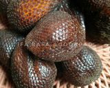 Foto langkah ke 1 dari resep Setup Salak.