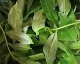 Foto langkah ke 4 dari resep Lempah Kuning Ayam Daun Kedondong.