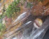 Foto del paso 4 de la receta: Peceto al Horno Con espeCias🍃🍃🍃