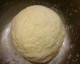 A picture of step 1 of Potstickers (Guotie).