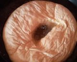 A picture of step 4 of Giant glazed doughnut.