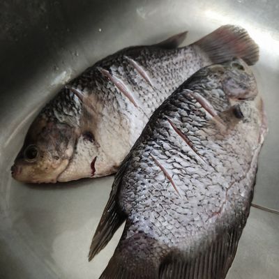 Langkah 1