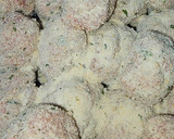 Foto del paso 2 de la receta: Albóndigas en salsa verde